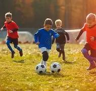 年世界杯票,价高达,美元引发球,PM体育官方网站,PM体育app下载平台,PM体育平台首页,PM体育官网入口