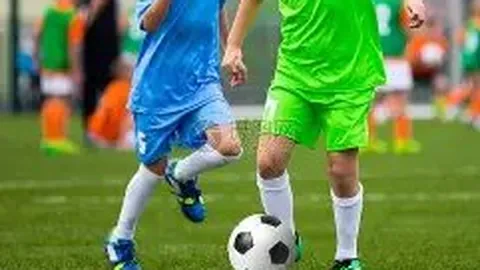 PM体育官网入口 产品 085837 jff