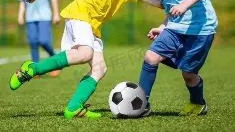 PM体育官网入口 资讯 085739 hq3