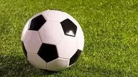 PM体育官网入口 产品 085829 4hq