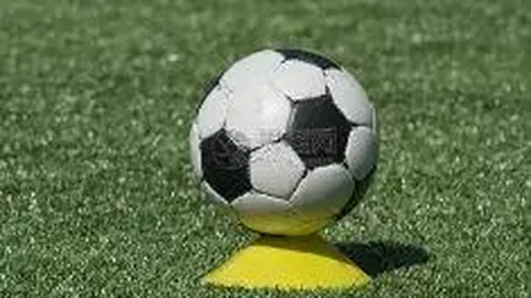 畅享前沿科技，华为Mate60专享防护——朗客钢化膜震撼登场！